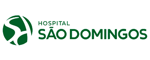 logo sao domingos sao luis